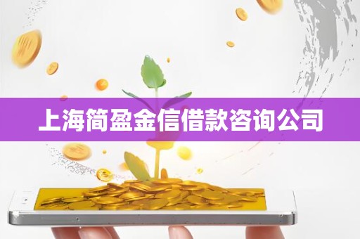 上海简盈金信借款咨询公司