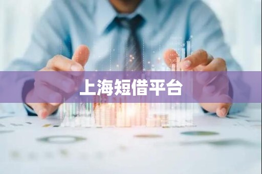上海短借平台